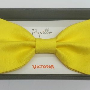 ΠΑΠΙΓΙΟΝ ΑΝΔΡΙΚΟ ΚΙΤΡΙΝΟ